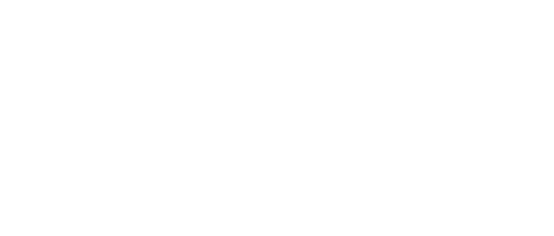 Cheetah Systems
